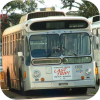 Adelaide Metro rigid Volvos